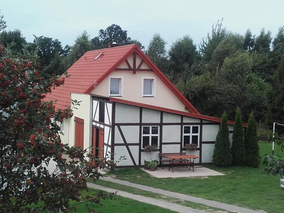 Agroturystyka Pod Kogutkiem Czysta Екстериор снимка