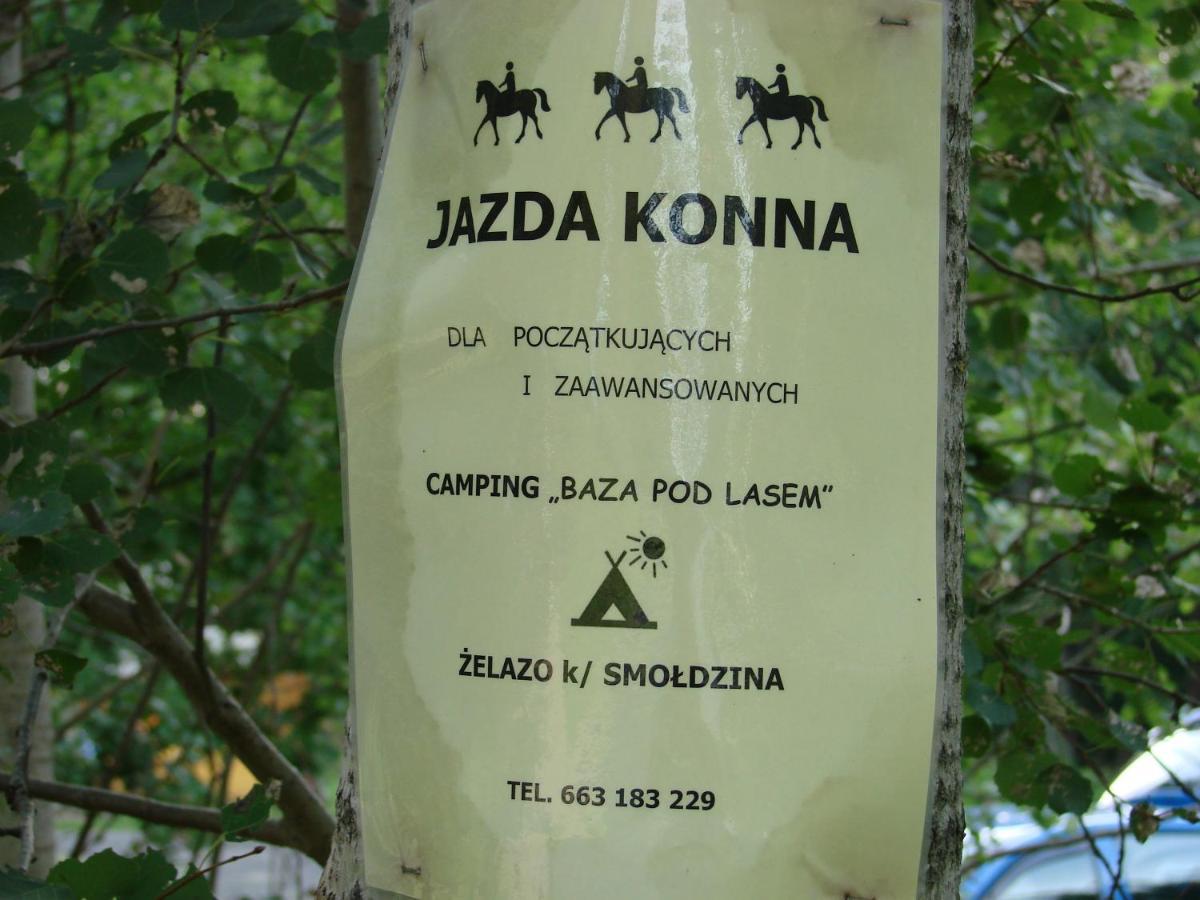 Agroturystyka Pod Kogutkiem Czysta Екстериор снимка