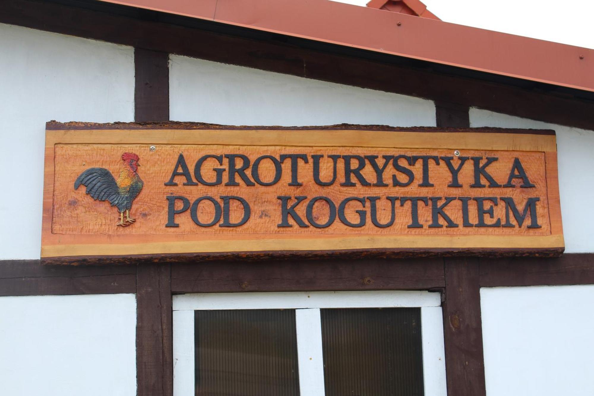 Agroturystyka Pod Kogutkiem Czysta Екстериор снимка
